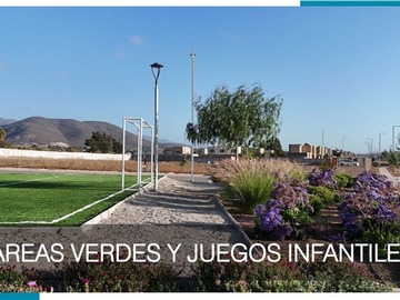 Imagen 15