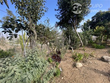 Imagen 22