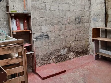 Imagen 12