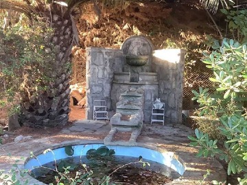 Imagen 4