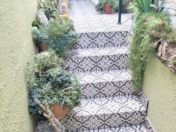 Imagen 4