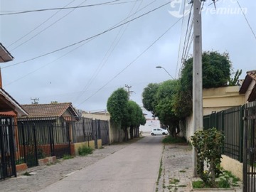 Imagen 13