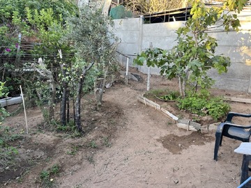 Imagen 11