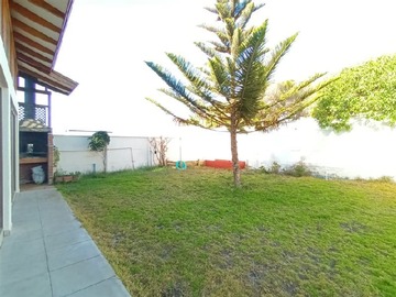 Imagen 19