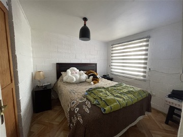 Imagen 6