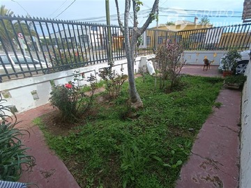 Imagen 12