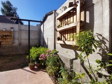 Imagen 11