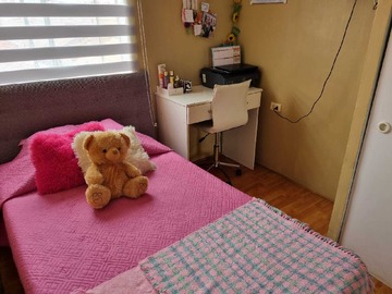 Imagen 12