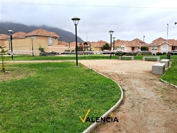 Imagen 24