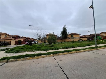 Imagen 19