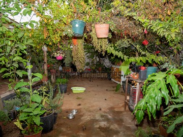 Imagen 14