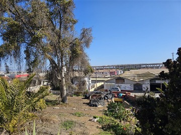 Imagen 5