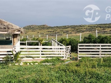 Imagen 39