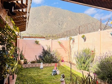 Imagen 23