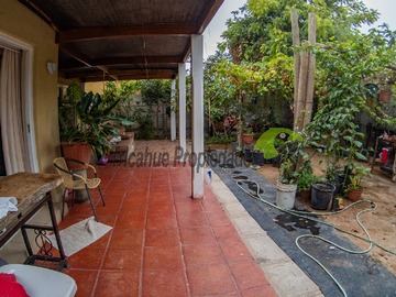 Imagen 13