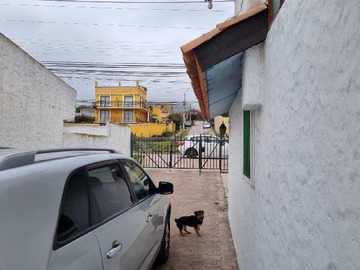 Imagen 10