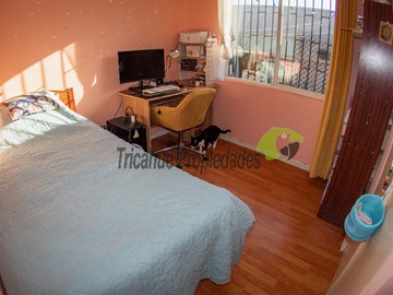 Imagen 6