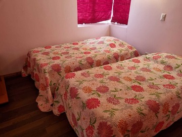 Imagen 15