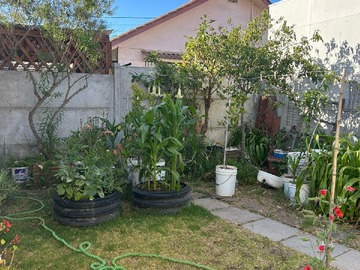 Imagen 12