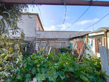 Imagen 12