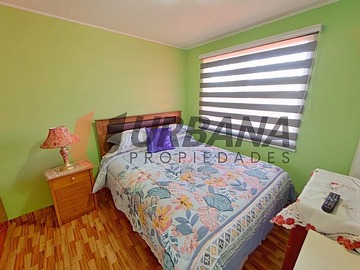 Imagen 5