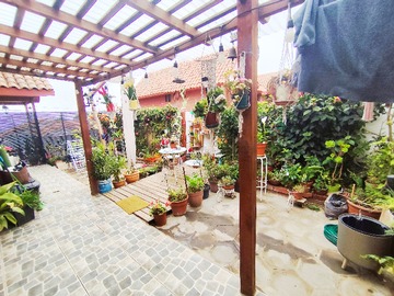 Imagen 15