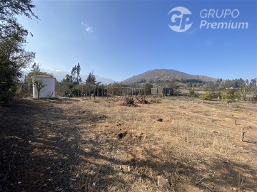 Imagen 37