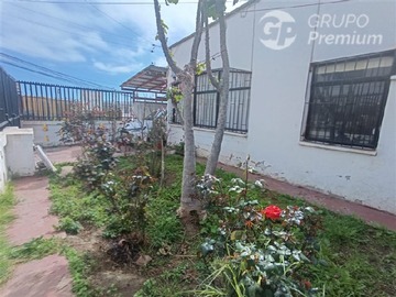 Imagen 11
