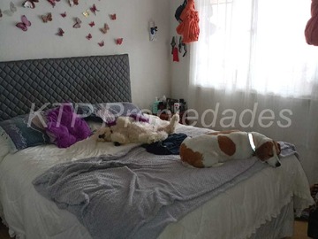 Imagen 18