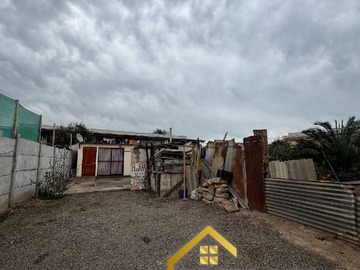 Imagen 11