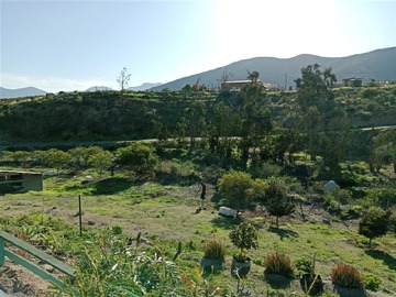 Venta / Casa / La Serena