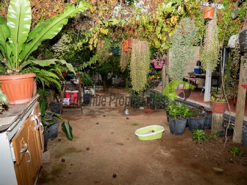 Imagen 16