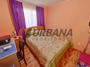 Imagen 6