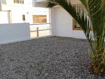 Imagen 7