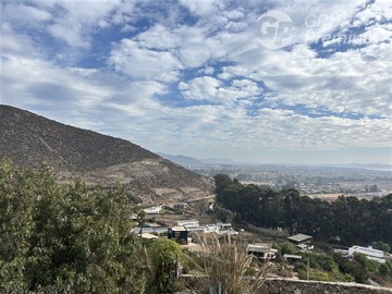 Imagen 7