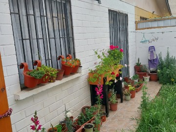Patio trasero