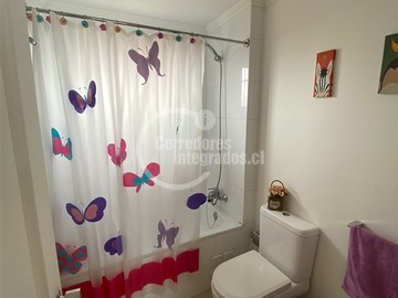 Imagen 11
