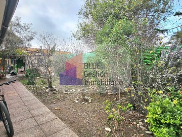 Imagen 8