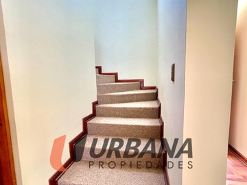 Imagen 11