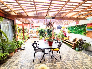 Imagen 14