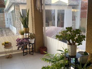Imagen 28