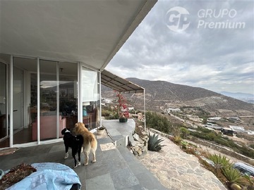 Imagen 10