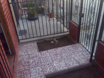 Imagen 5
