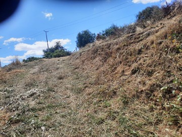Imagen 9