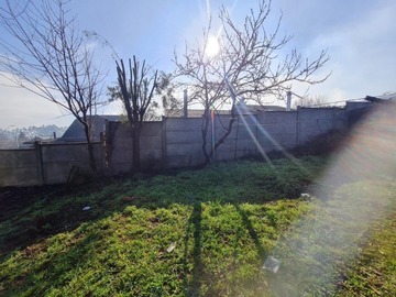 Imagen 8