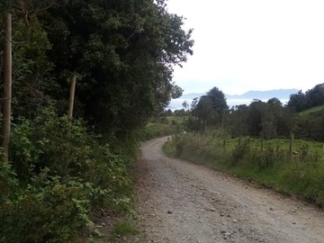Imagen 11