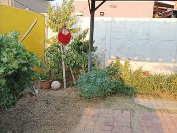Imagen 12