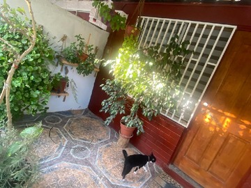 Imagen 19