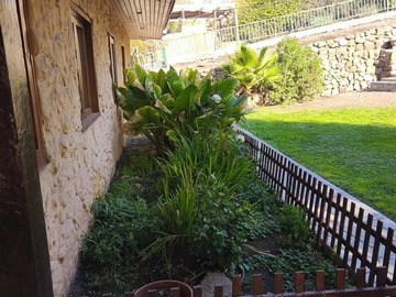 Imagen 25