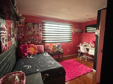 Imagen 14